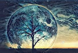 Image result for image